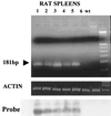 FIG. 6