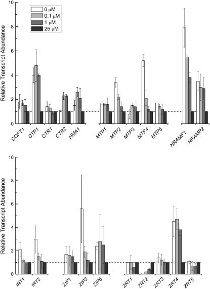 Figure 7.