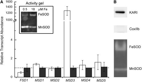 Figure 6.