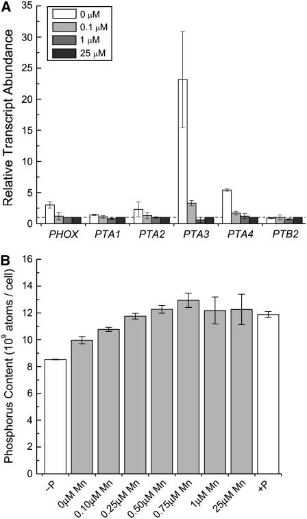 Figure 10.