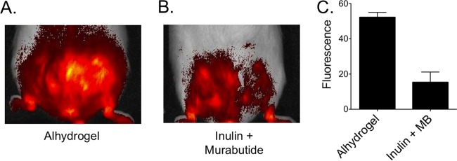 FIG 6