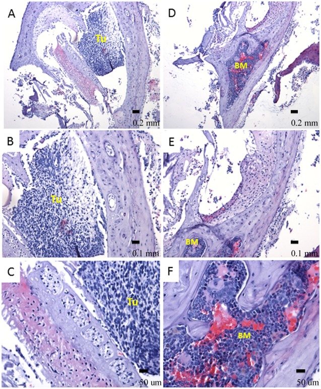 Fig 10