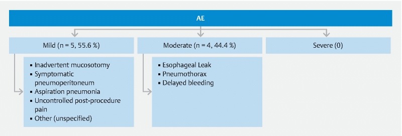 Fig. 2