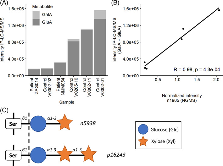 FIGURE 3