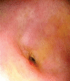 Figure 3)
