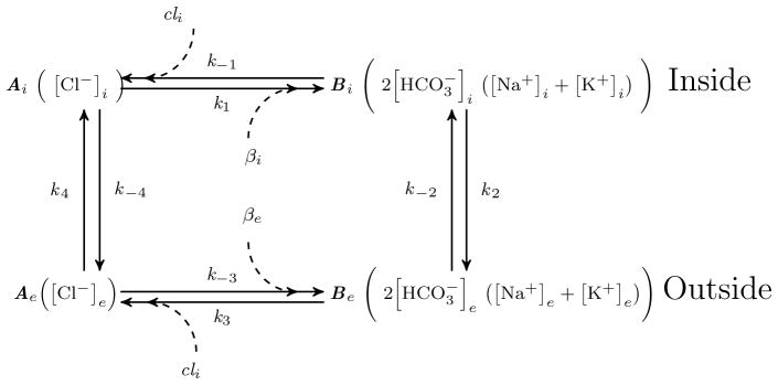 Fig. 10