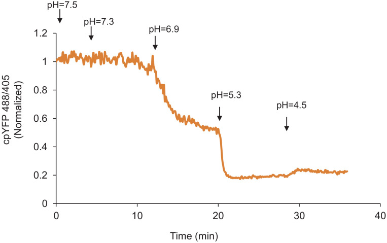 Figure 3—figure supplement 2.