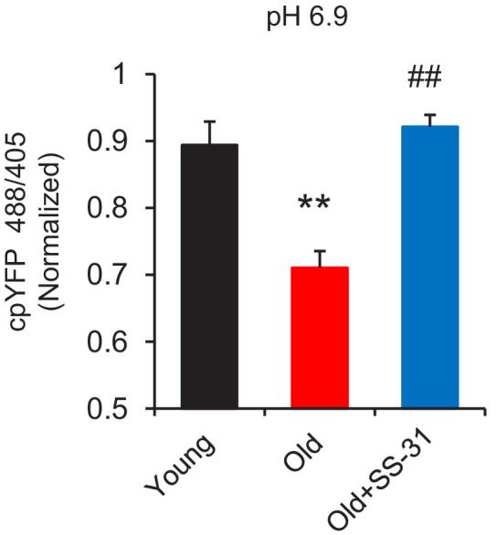 Figure 2—figure supplement 2.