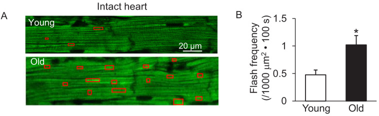 Figure 4—figure supplement 1.