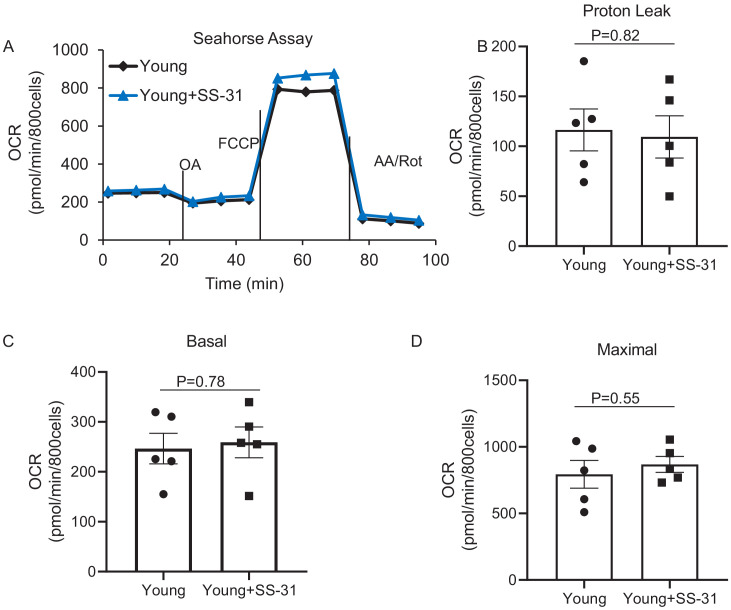 Figure 1—figure supplement 1.