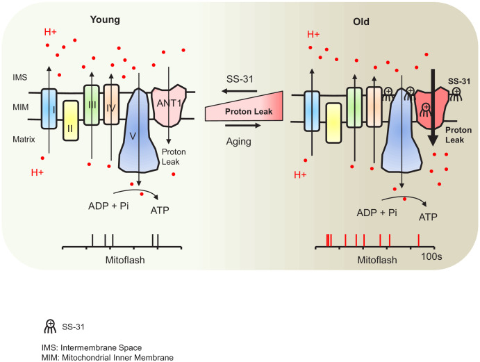 Figure 7.