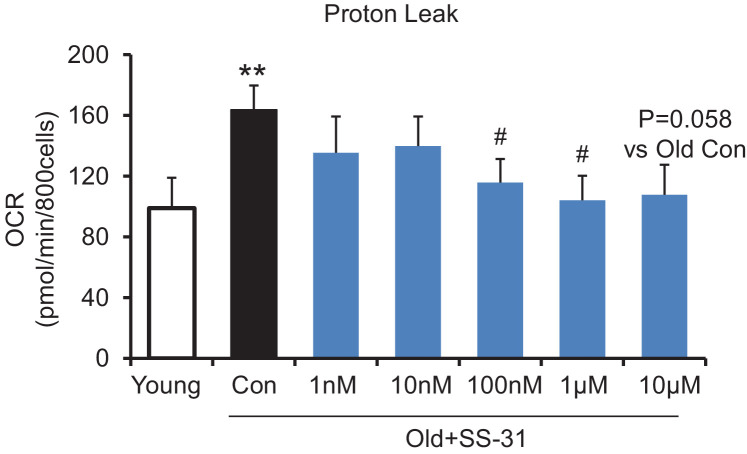 Figure 1—figure supplement 2.