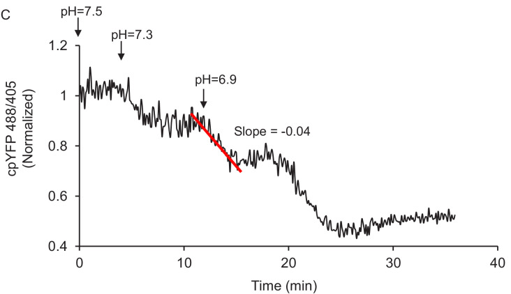 Figure 2—figure supplement 3.