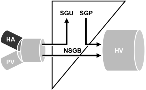 FIG. 7.