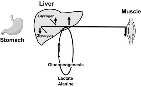 FIG. 24.