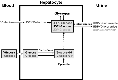 FIG. 10.