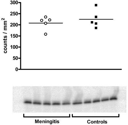 FIG. 5.