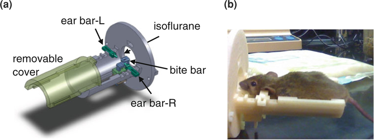 FIGURE 3.