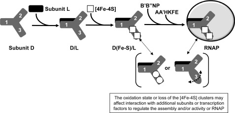 FIGURE 10.