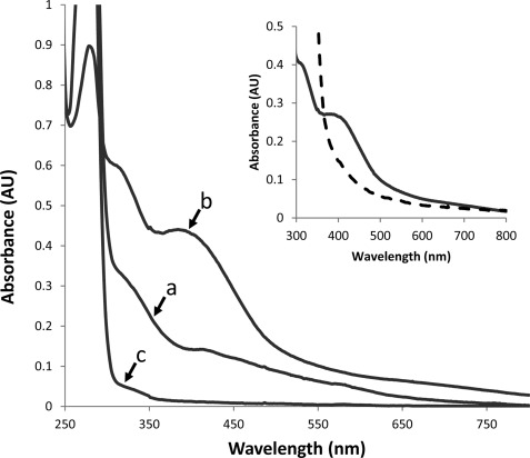 FIGURE 4.