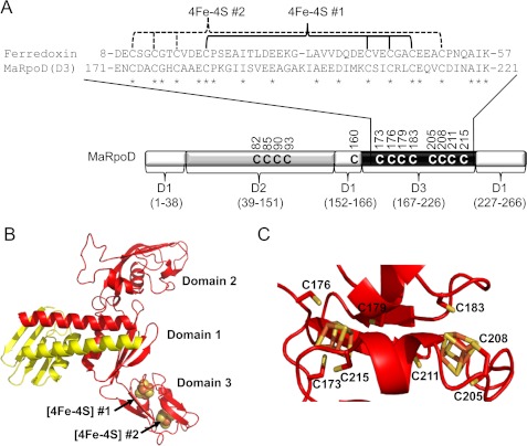 FIGURE 2.