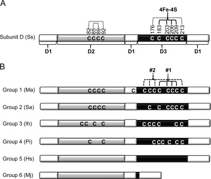 FIGURE 1.