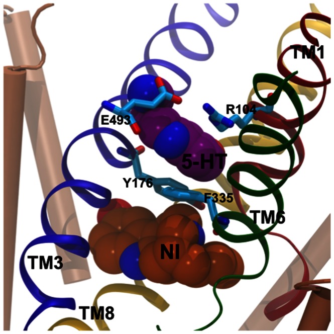 Figure 10