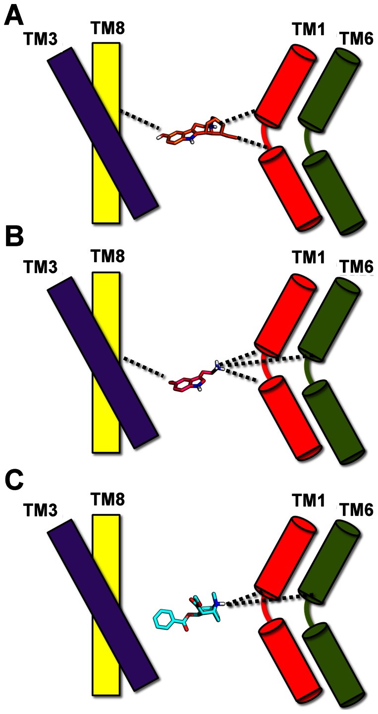 Figure 11