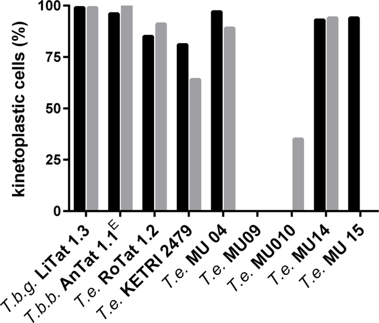 Fig 4