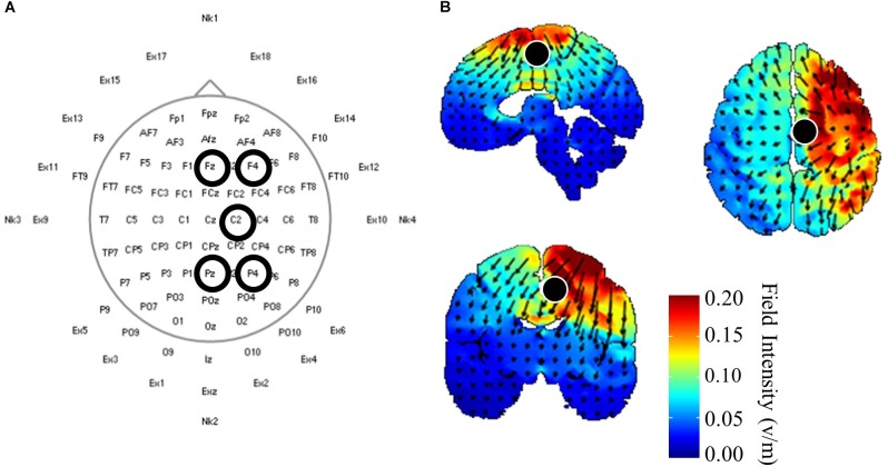 FIGURE 1