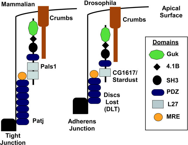 Figure 10.