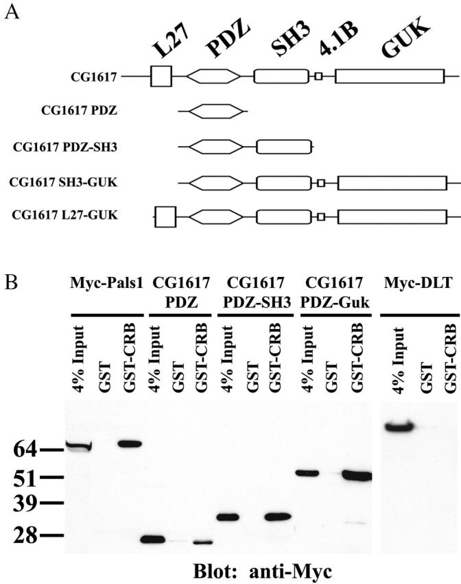 Figure 9.