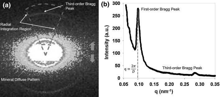 Fig. 4