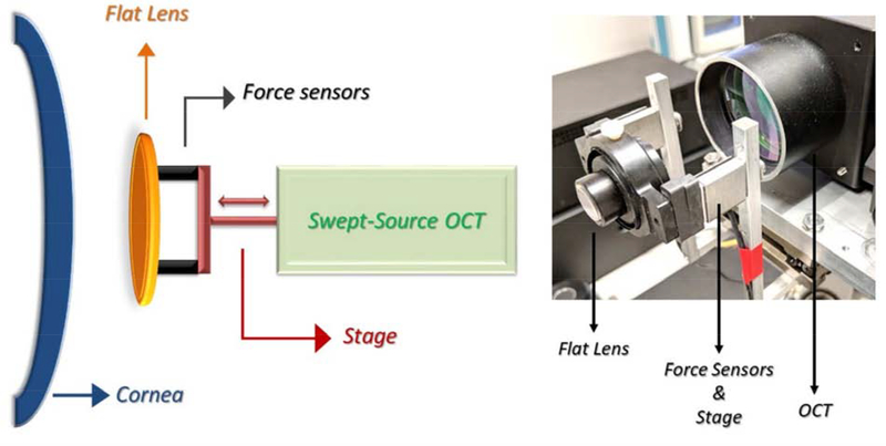 Figure 4: