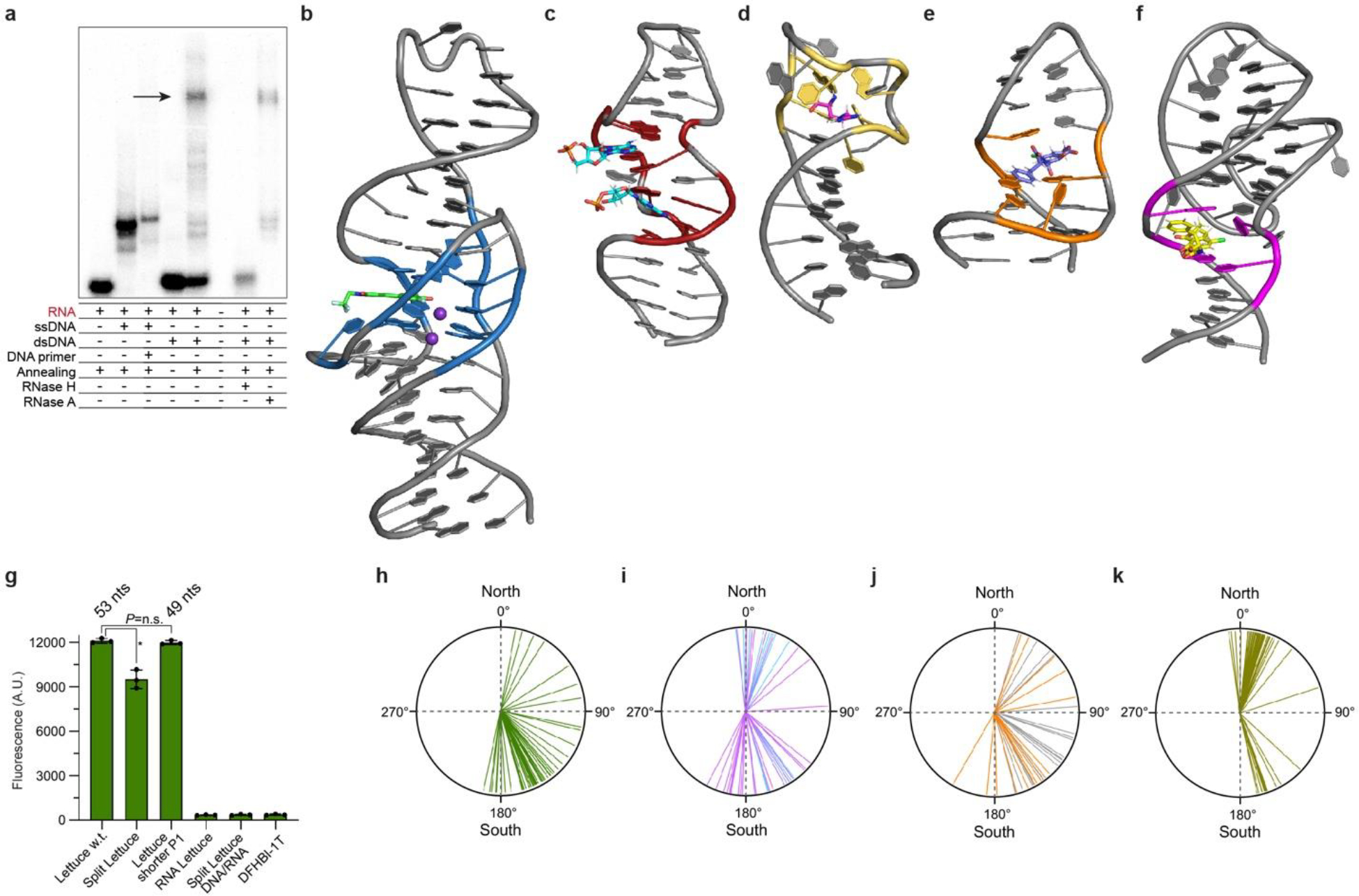 Extended Data Fig. 6.