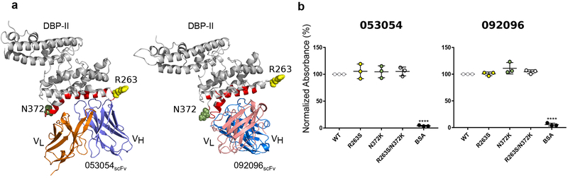 Figure 5|