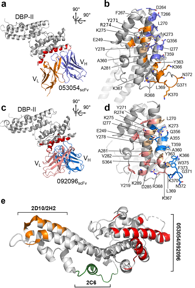 Figure 1|