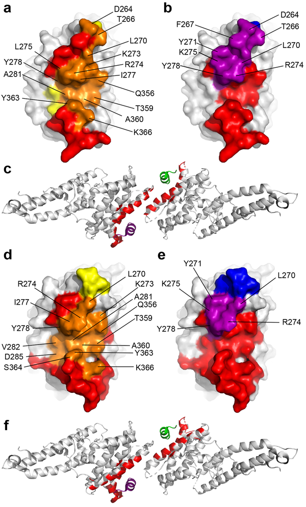 Figure 2|