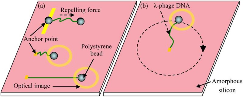 FIG. 12.