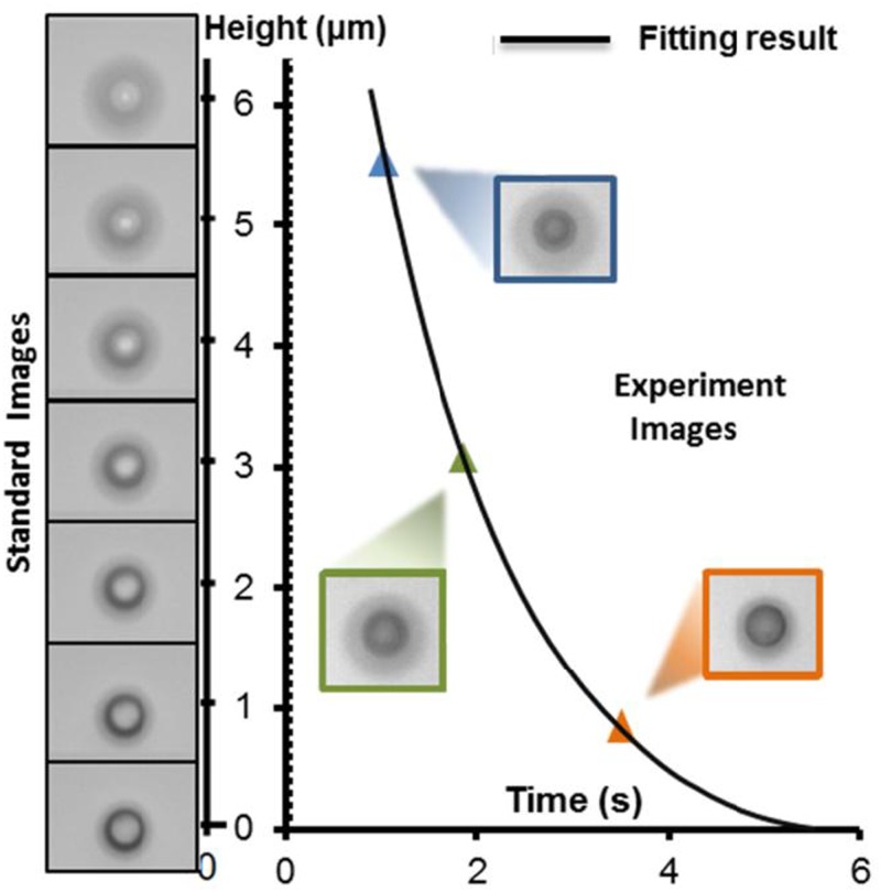 FIG. 17.