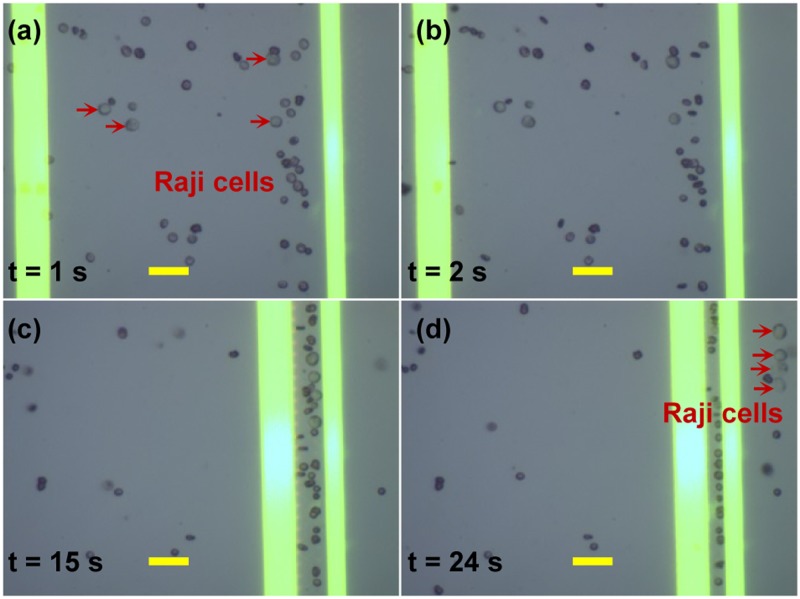 FIG. 10.