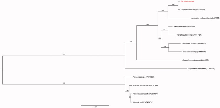 Figure 1.