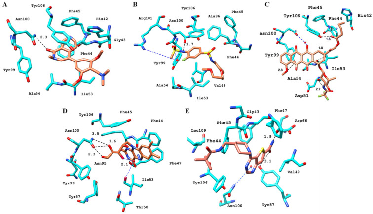 Figure 19