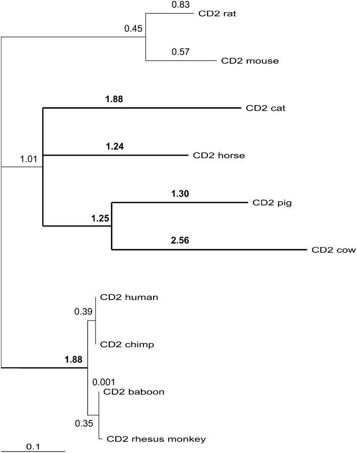 Figure 4.—