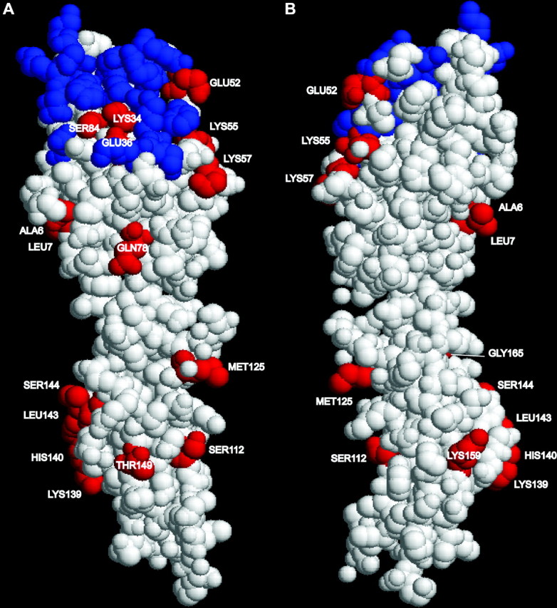 Figure 3.—