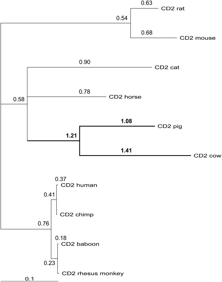 Figure 1.—