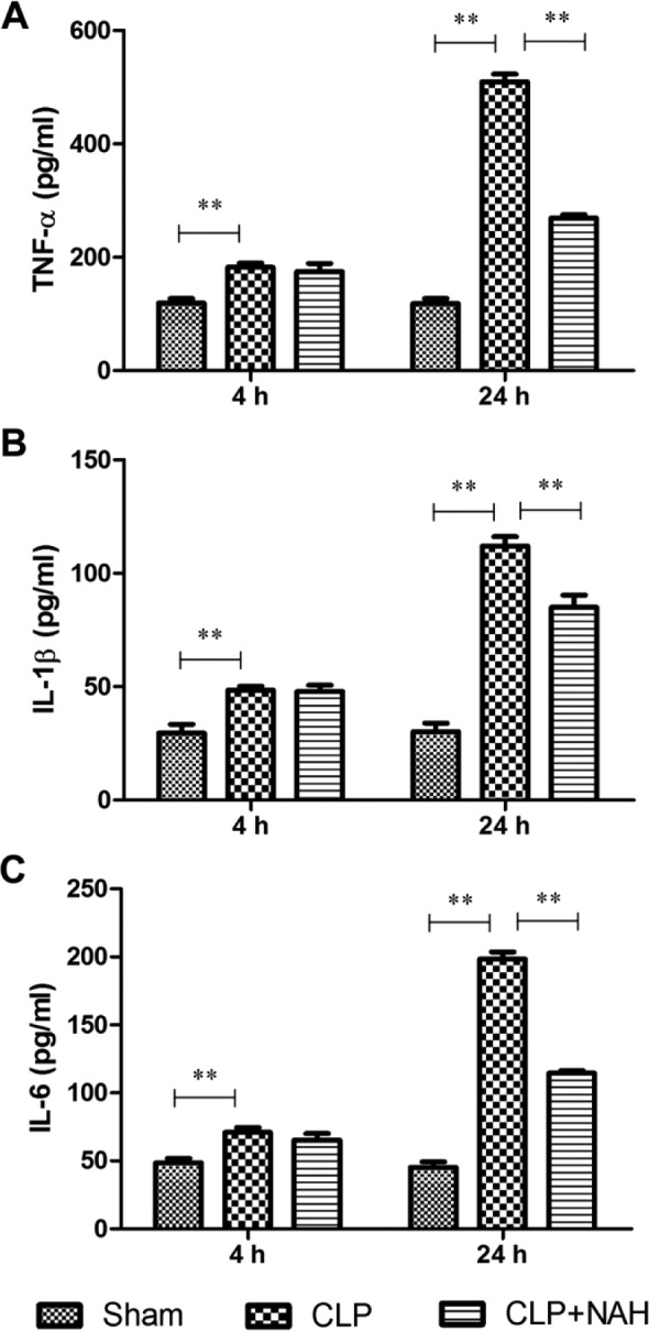 Figure 5.