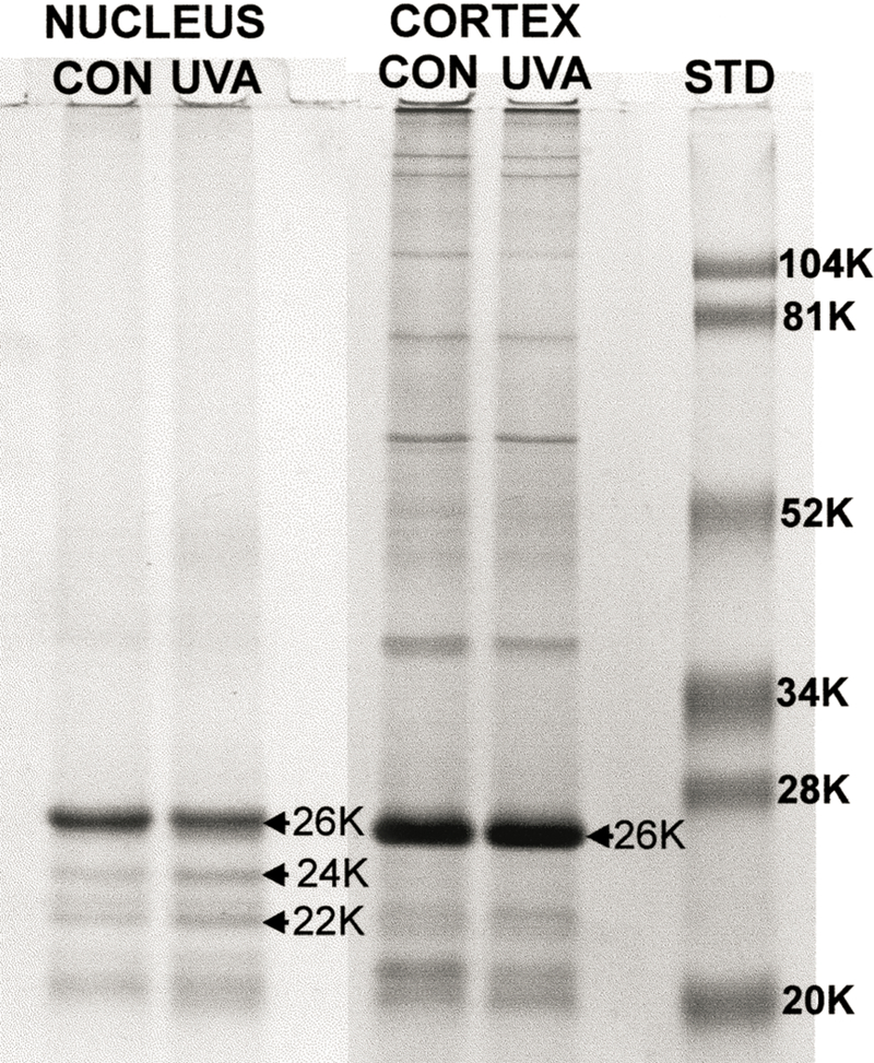 Fig. 10.