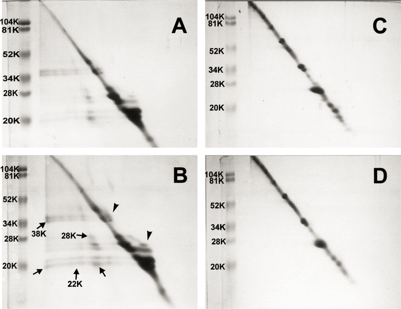 Fig. 9.