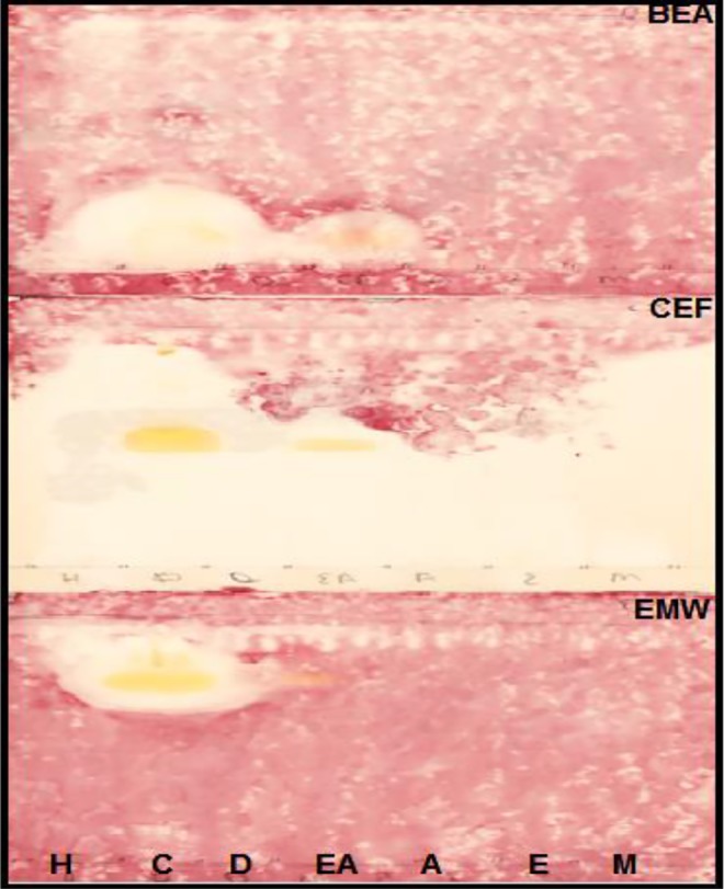 Figure 5.